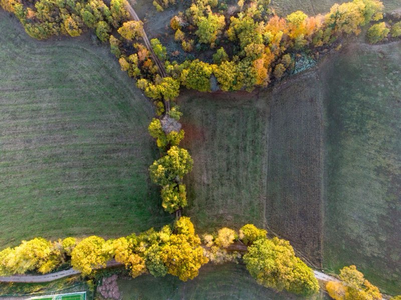 Letecký pohľad na pozemky a stromy v jesenných farbách